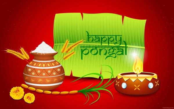 Pongal Tamil Nadu Festival